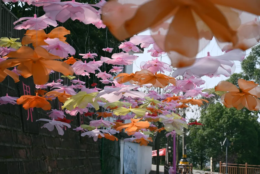 彩色悬花成廊，Nikon Z5 摄影